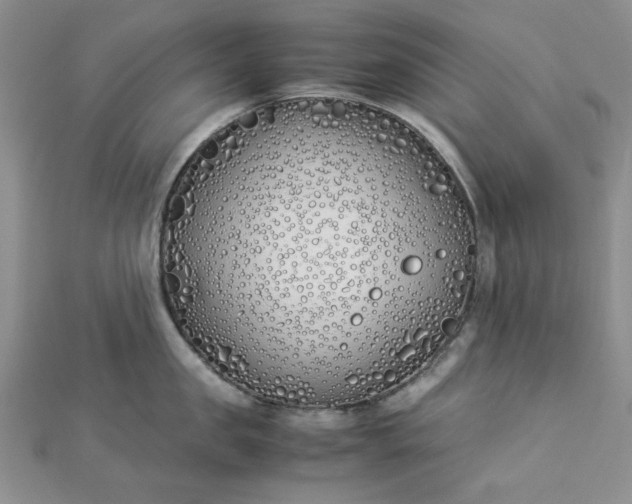 X0000112870957200909041619