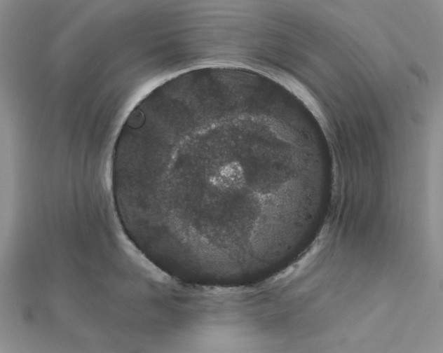 X0000112870958200909041619