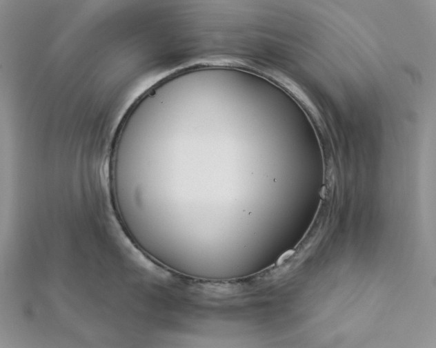 X0000112870959200909041619