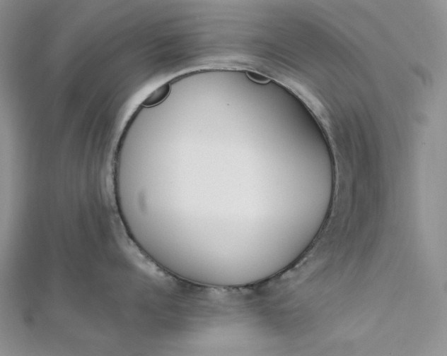 X0000112870960200909041619