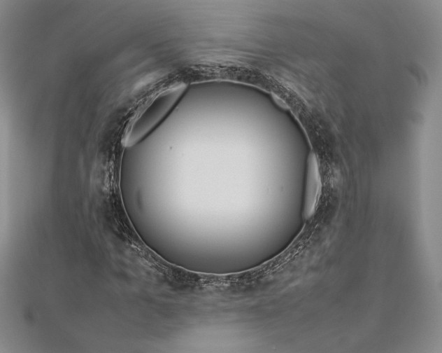 X0000112870965200909041618