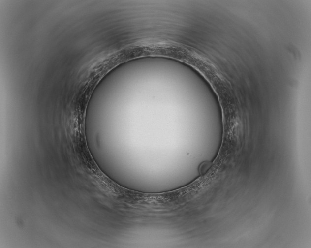 X0000112870966200909041618