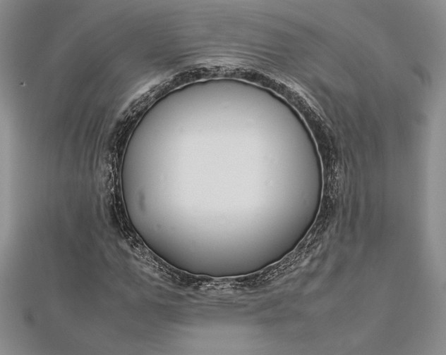 X0000112870967200909041618