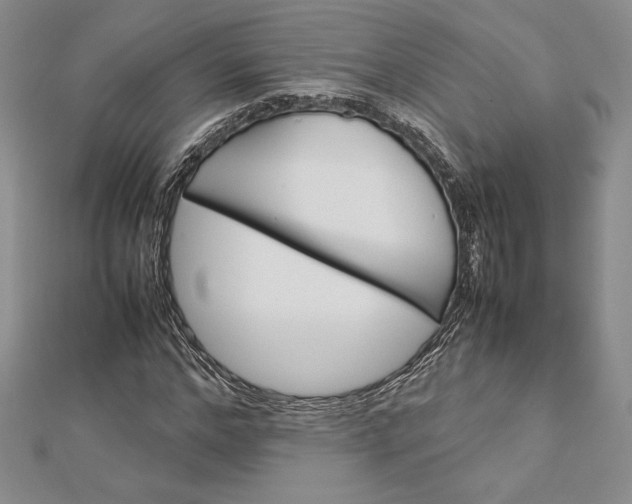 X0000112870968200909041618