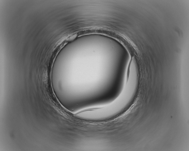 X0000112870969200909041618