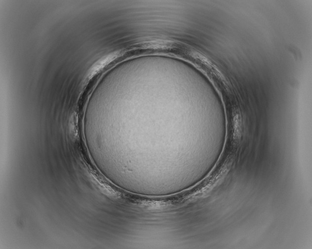 X0000112870970200909041618