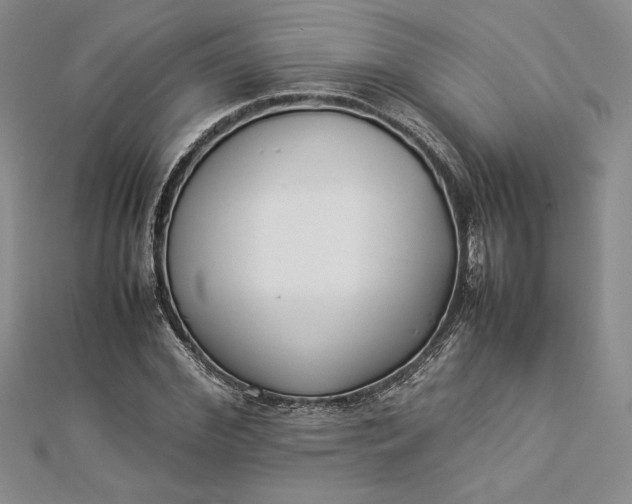 X0000112870972200909041618