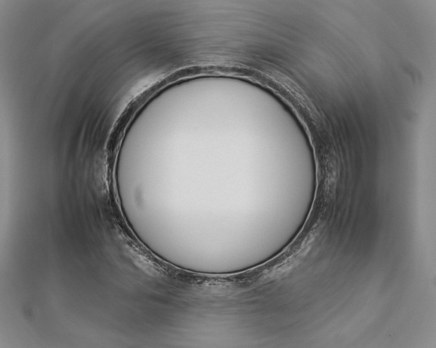 X0000112870974200909041618