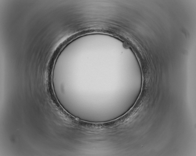 X0000112870975200909041618