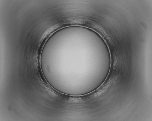 X0000112870978200909041618