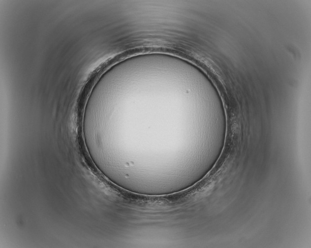 X0000112870979200909041618