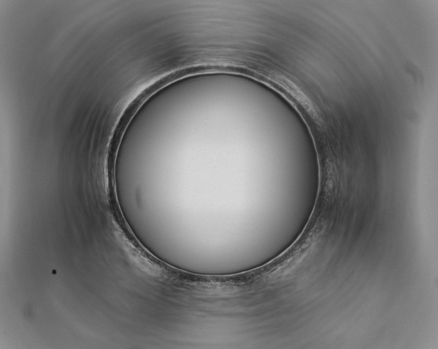 X0000112870980200909041618