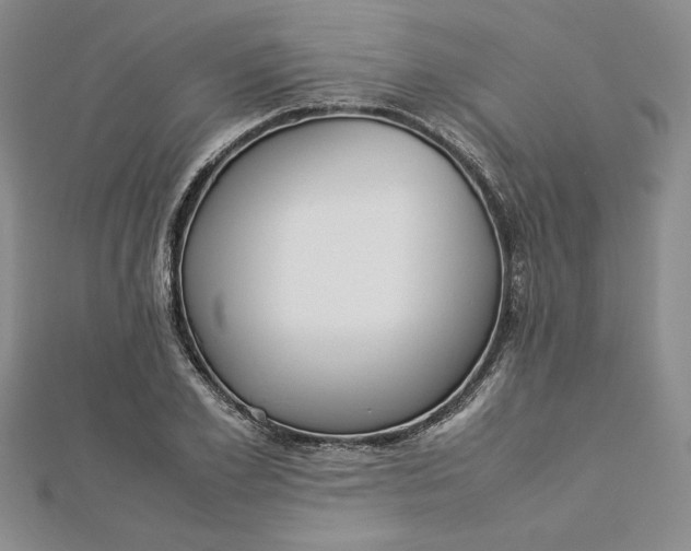 X0000112870981200909041618