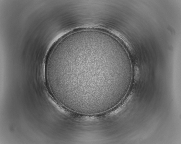 X0000112870982200909041618