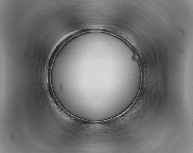 X0000112870984200909041618