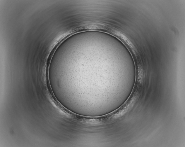 X0000112870986200909041618