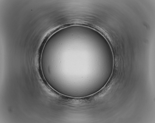 X0000112870987200909041618