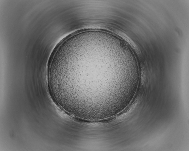 X0000112870988200909041618