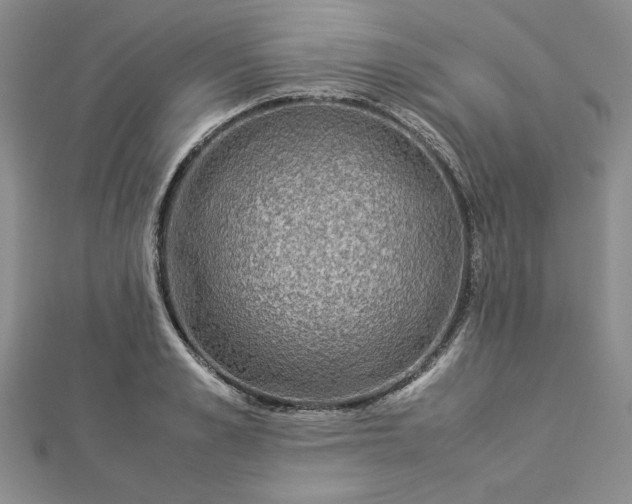 X0000112870989200909041618