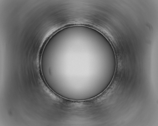 X0000112870990200909041618