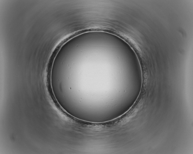 X0000112870991200909041618