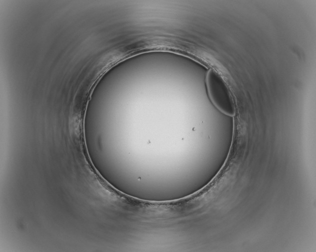 X0000112870993200909041618