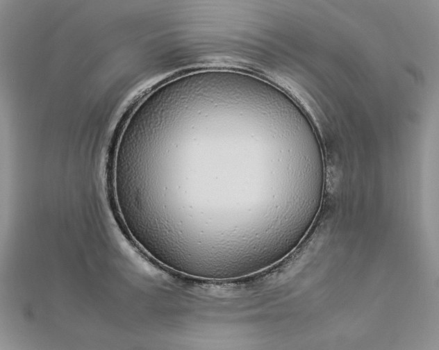 X0000112870995200909041617