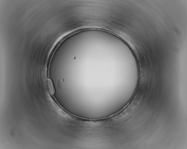 X0000112870996200909041617