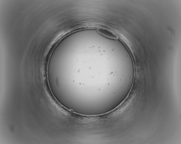 X0000112870997200909041617