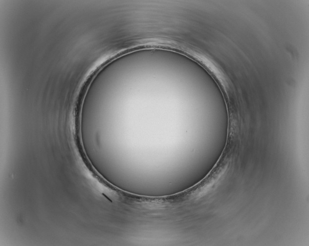 X0000112870999200909041617