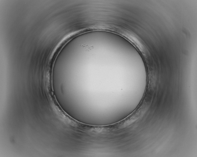 X0000112871000200909041617