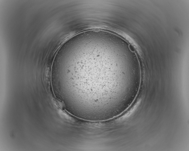 X0000112871001200909041617