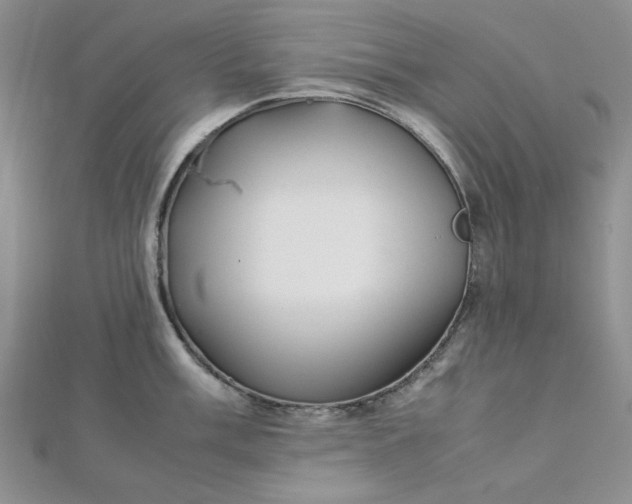 X0000112871003200909041617