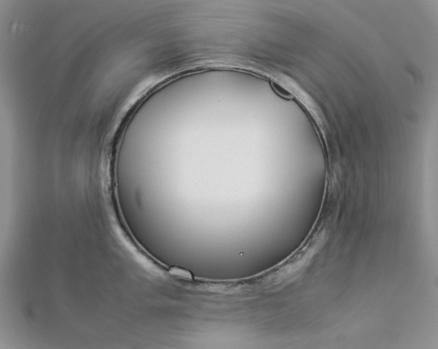 X0000112871005200909041617