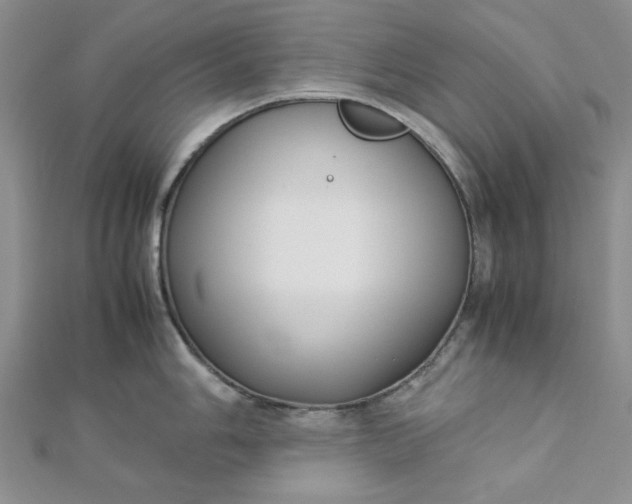 X0000112871006200909041617