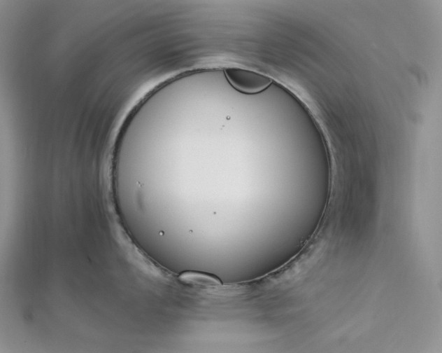 X0000112871008200909041617