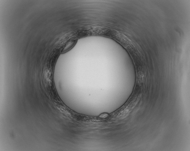 X0000112871010200909041617