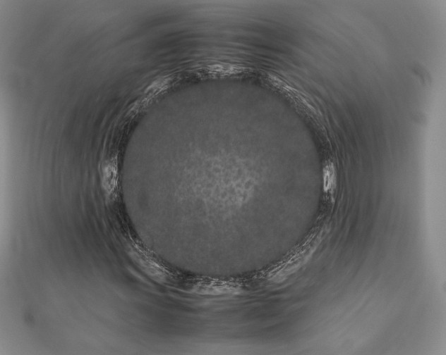 X0000112871011200909041617