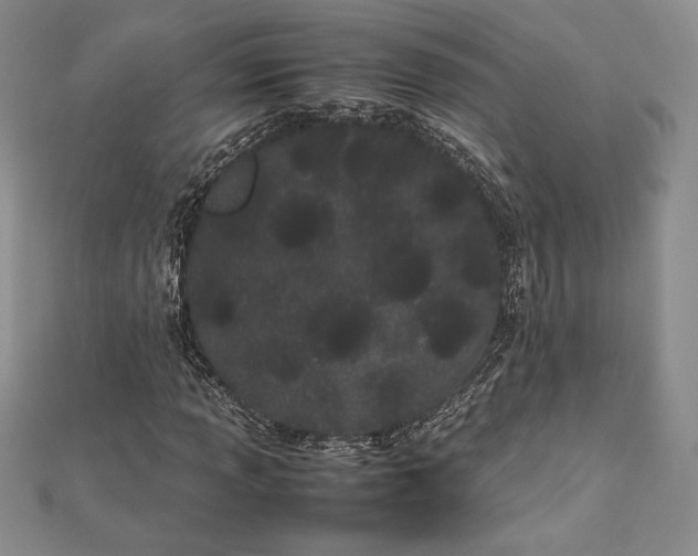 X0000112871013200909041617