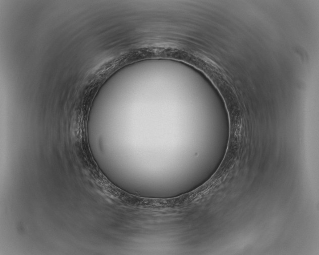 X0000112871014200909041617