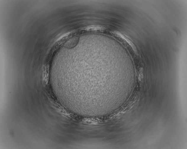 X0000112871015200909041617