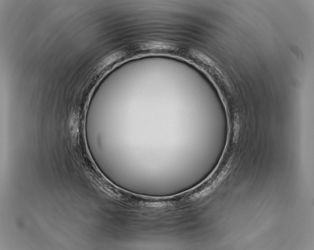 X0000112871017200909041617