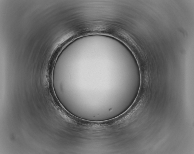 X0000112871018200909041617