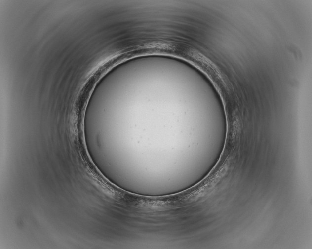 X0000112871019200909041617