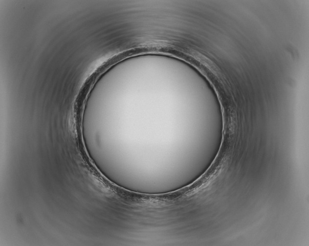 X0000112871022200909041617