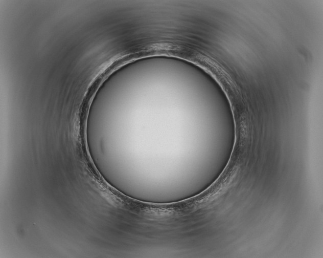 X0000112871023200909041617