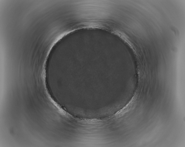 X0000112871024200909041617