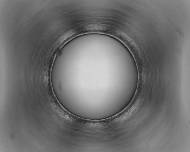 X0000112871025200909041617