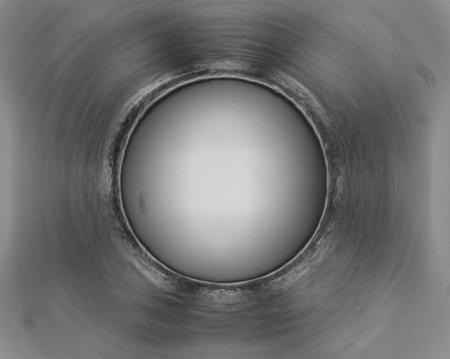 X0000112871027200909041617