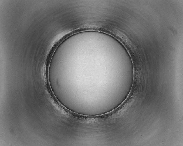 X0000112871030200909041617